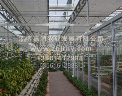 連棟溫室工程